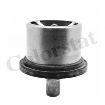 Thermostat d'eau CALORSTAT BY VERNET THCT19094.80