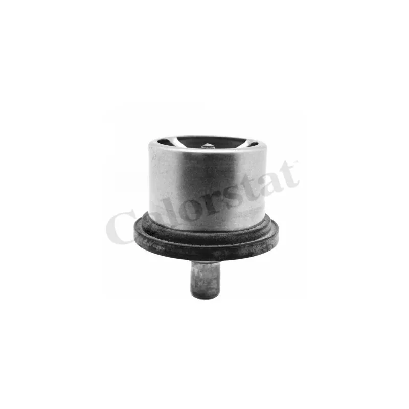 Thermostat d'eau CALORSTAT BY VERNET THCT19094.80