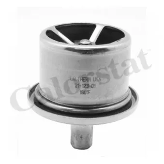 Thermostat d'eau CALORSTAT BY VERNET THCT19106.82