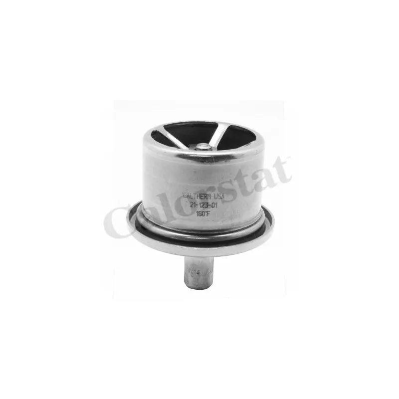 Thermostat d'eau CALORSTAT BY VERNET THCT19106.82