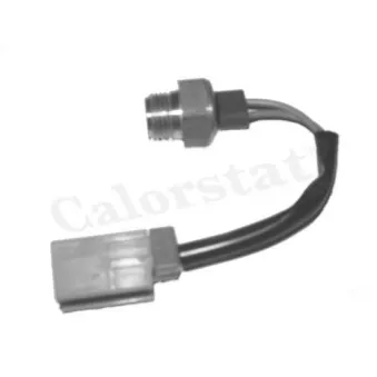 Interrupteur de température, ventilateur de radiateur CALORSTAT BY VERNET TS2876