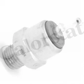 Interrupteur de température, ventilateur de radiateur CALORSTAT BY VERNET TS2897