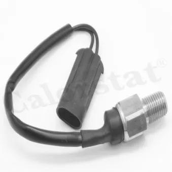 Interrupteur de température, ventilateur de radiateur CALORSTAT BY VERNET TS2960