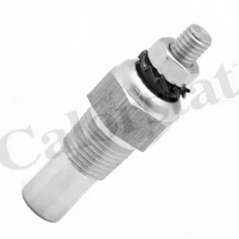 Sonde de température, liquide de refroidissement CALORSTAT BY VERNET WS2517