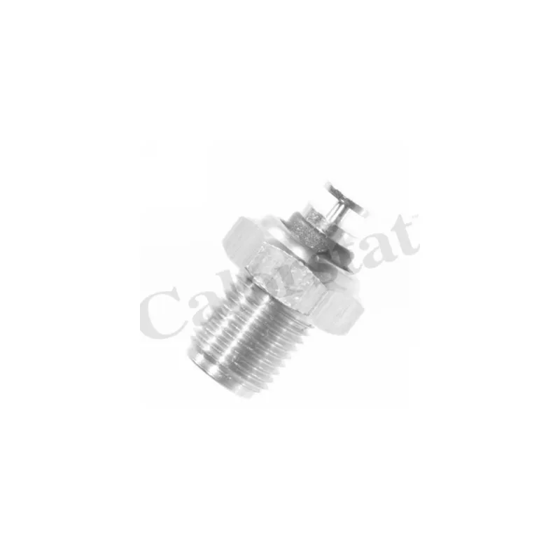 Sonde de température, liquide de refroidissement CALORSTAT BY VERNET WS2521