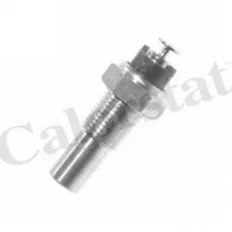 Sonde de température, liquide de refroidissement CALORSTAT BY VERNET WS2546