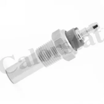 Sonde de température, liquide de refroidissement CALORSTAT BY VERNET WS2695