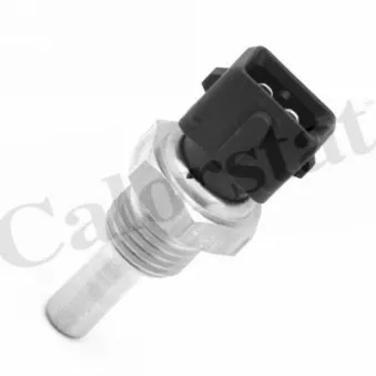 Sonde de température, liquide de refroidissement CALORSTAT BY VERNET WS3020
