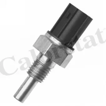 Sonde de température, liquide de refroidissement CALORSTAT BY VERNET WS3036