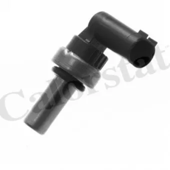 Sonde de température, liquide de refroidissement CALORSTAT BY VERNET WS3074