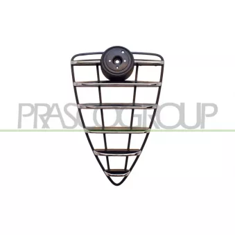 Grille de radiateur PRASCO AA2102001