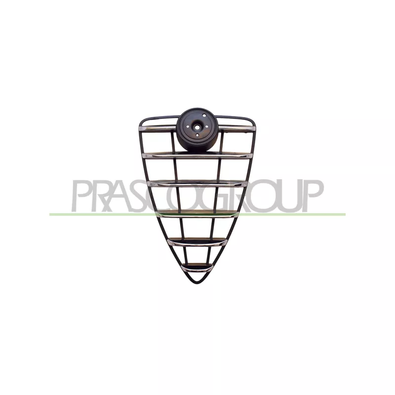 Grille de radiateur PRASCO AA2102001