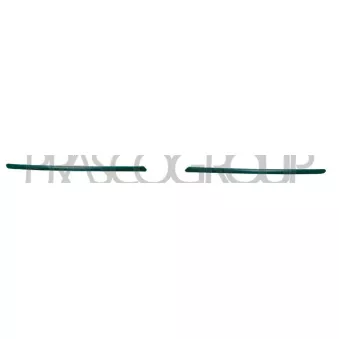 Baguette et bande protectrice, pare-chocs avant gauche PRASCO AA3401244