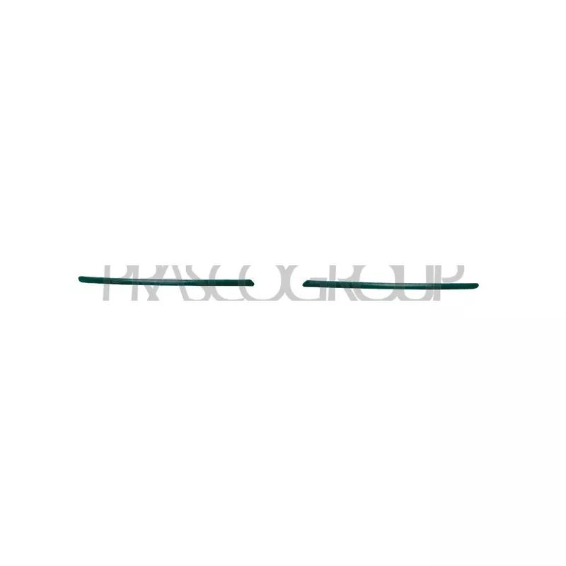 Baguette et bande protectrice, pare-chocs avant gauche PRASCO AA3401244
