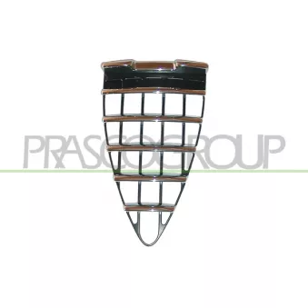 Grille de radiateur PRASCO AA3402001