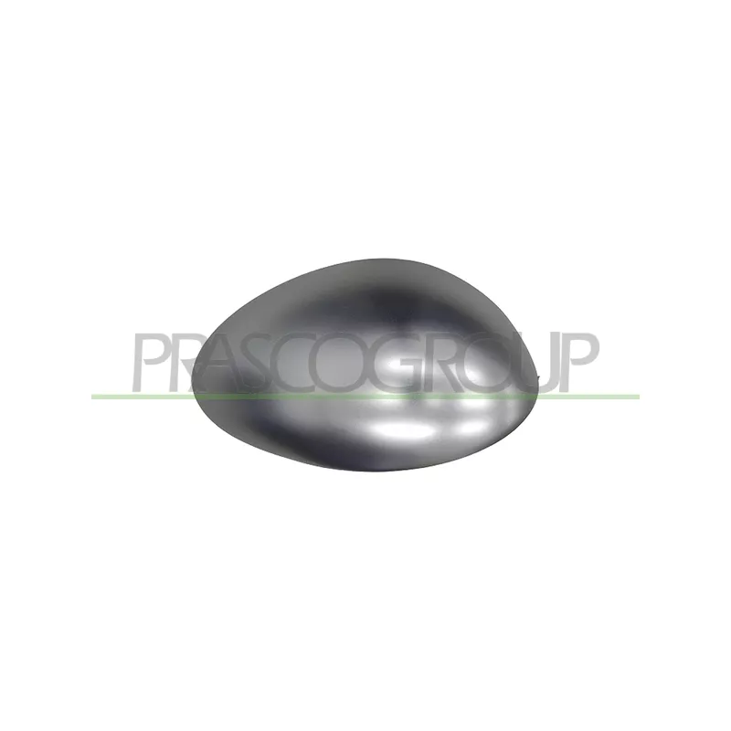 Revêtement, rétroviseur extérieur PRASCO AA3407405