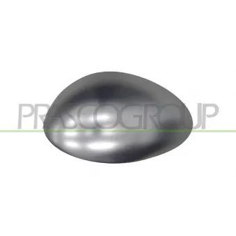 Revêtement, rétroviseur extérieur PRASCO AA3407406