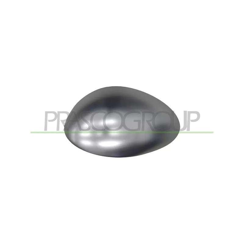 Revêtement, rétroviseur extérieur PRASCO AA3407406