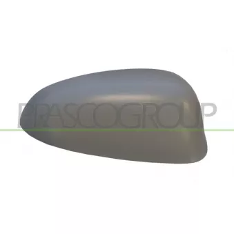 Revêtement, rétroviseur extérieur PRASCO AA3407413