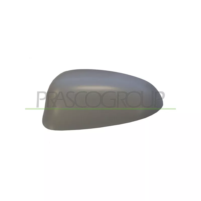 Revêtement, rétroviseur extérieur PRASCO AA3407414