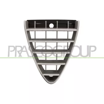 Grille de radiateur PRASCO