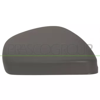 Rétroviseur extérieur PRASCO AA3447413