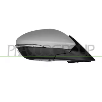 Rétroviseur extérieur PRASCO AA7107333