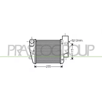 Intercooler, échangeur PRASCO AD034N001