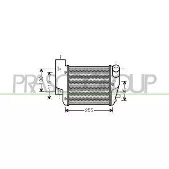 Intercooler, échangeur PRASCO AD034N002