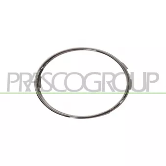 Cadre, projecteur antibrouillard PRASCO AD0381247