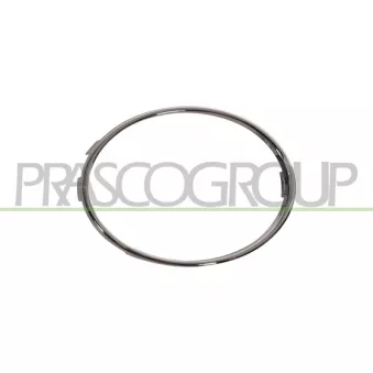 Cadre, projecteur antibrouillard PRASCO AD0381248
