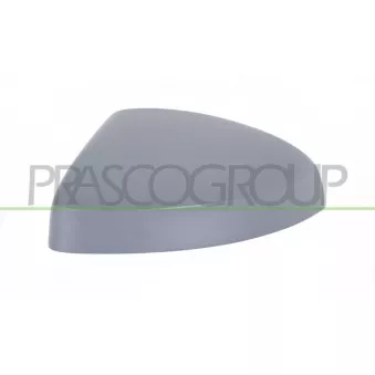 Revêtement, rétroviseur extérieur PRASCO