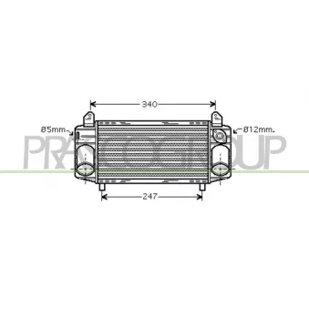 Intercooler, échangeur PRASCO AD302N001