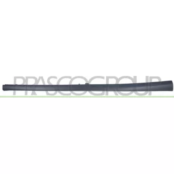 Revêtement de bas de marche PRASCO AD3241403