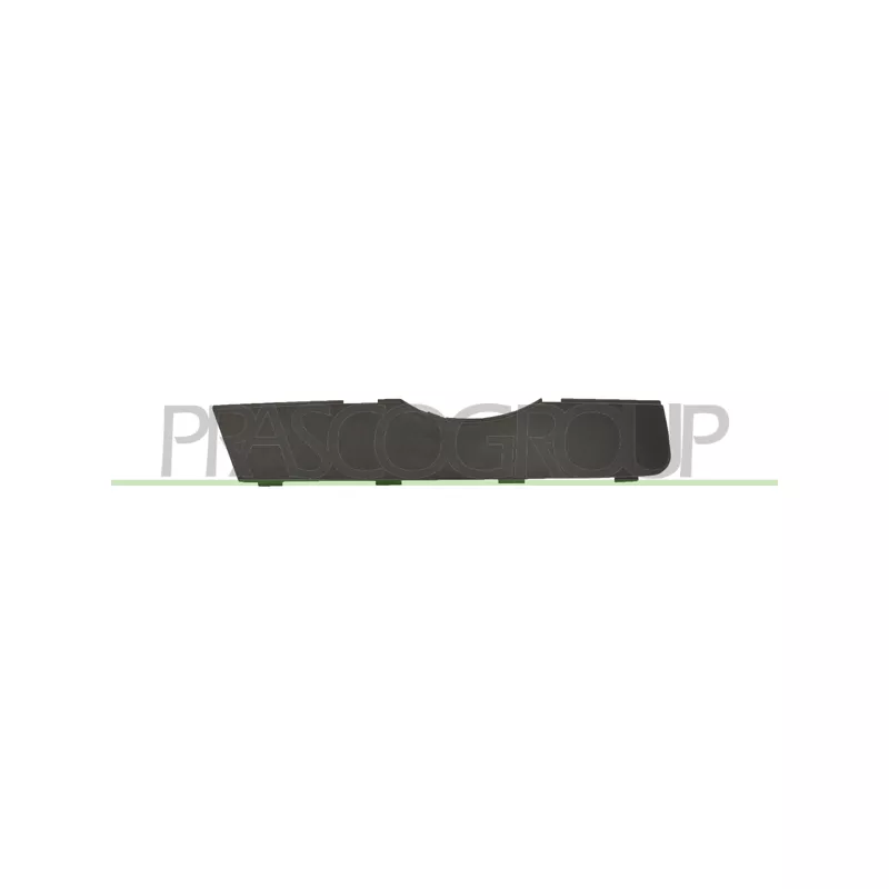 Baguette et bande protectrice, grille de radiateur avant droit PRASCO AD8101243