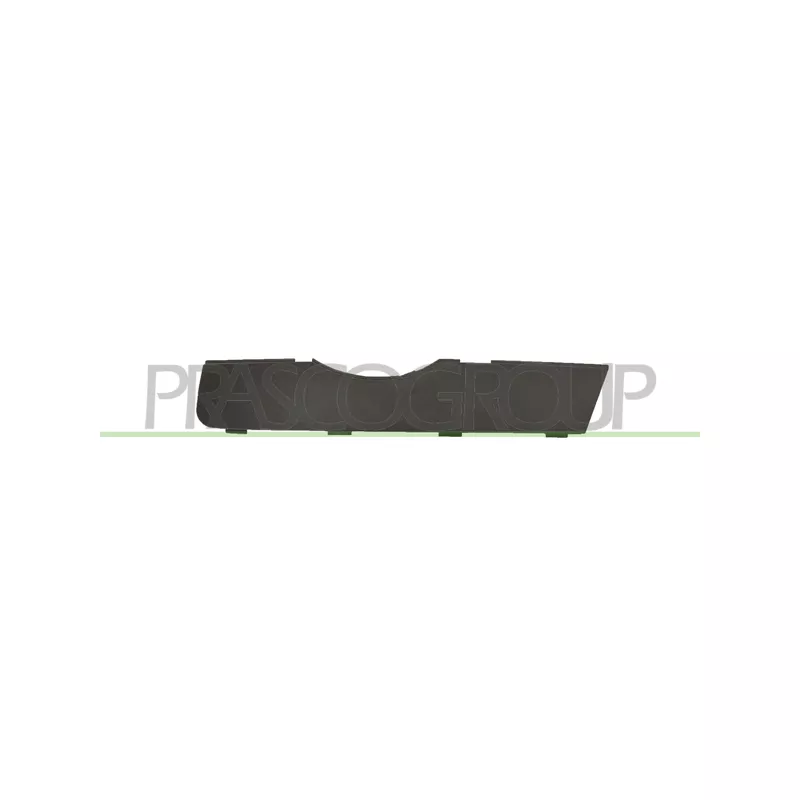 Baguette et bande protectrice, grille de radiateur avant gauche PRASCO AD8101244