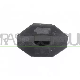 Cuvelage, projecteur principal PRASCO AD8101337