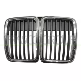 Grille de radiateur PRASCO BM0102001