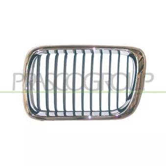Grille de radiateur PRASCO BM0142123
