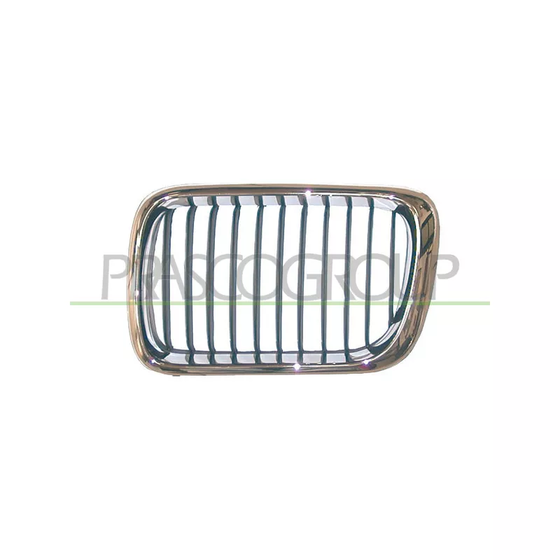 Grille de radiateur PRASCO BM0142123