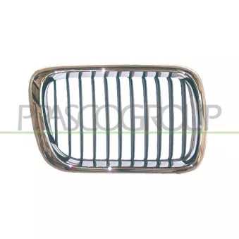 Grille de radiateur PRASCO BM0142124
