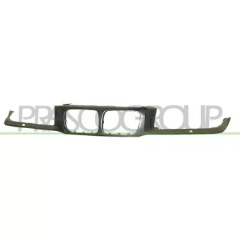 Cadre, grille de radiateur PRASCO BM0142315