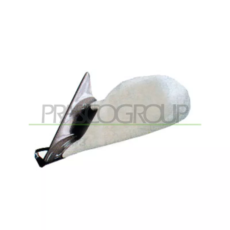 Rétroviseur extérieur PRASCO BM0147364