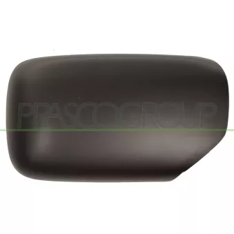 Revêtement, rétroviseur extérieur PRASCO BM0147413