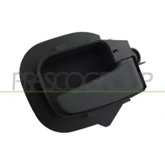 Poignet de porte, équipment intérieur avant droit PRASCO BM0148401
