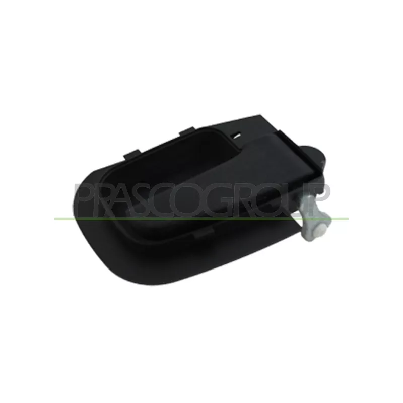 Poignet de porte, équipment intérieur arrière droit PRASCO BM0148501