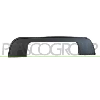Poignée extérieure de porte PRASCO BM0148711