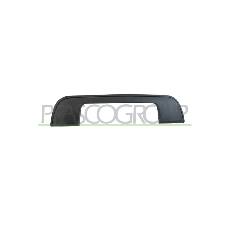 Poignée extérieure de porte PRASCO BM0148711