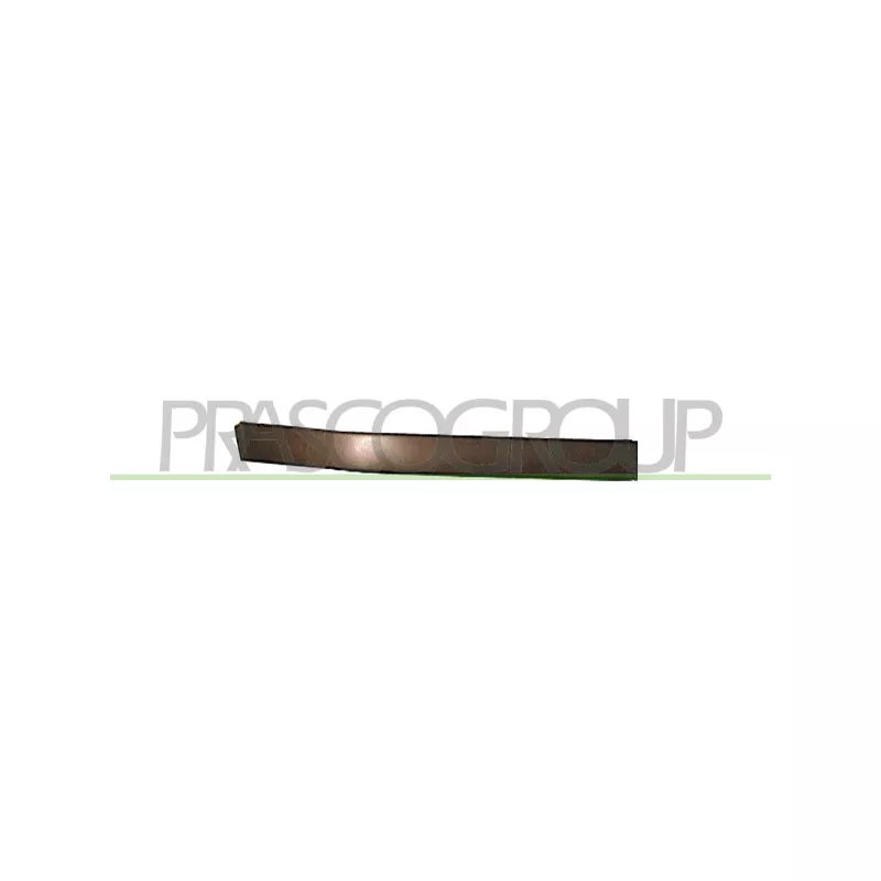 Baguette et bande protectrice, pare-chocs avant droit PRASCO BM0181243