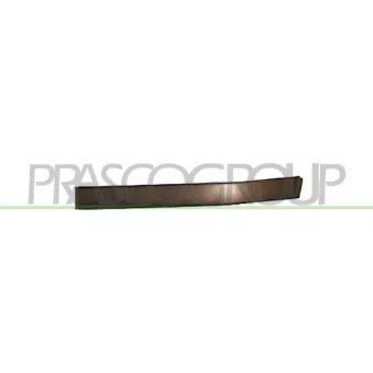 Baguette et bande protectrice, pare-chocs avant gauche PRASCO BM0181244